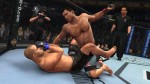 ufc2010-1