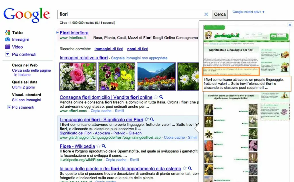 google_anteprima-istantanea