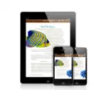 iwork_iphone