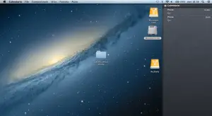 mountain_lion_2