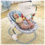 newborn-to-toddler-apptivity-seat-d-2