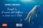 acquariodigenova-concorso-dai-il-nome-alla-delfina