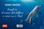 acquariodigenova-concorso-dai-il-nome-alla-delfina